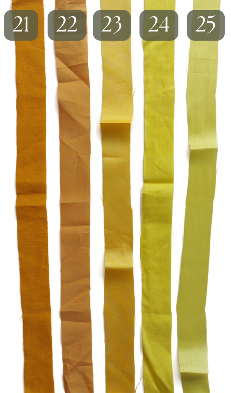 1_20260810_173039_0004-1-standard.png
