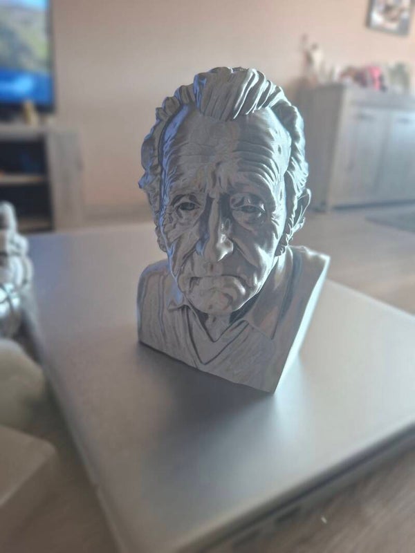3D Buste