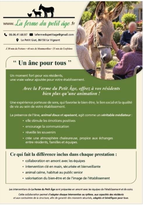 Rencontre avec une ânesse lors d'une intervention de médiation animale en maison de retraite.