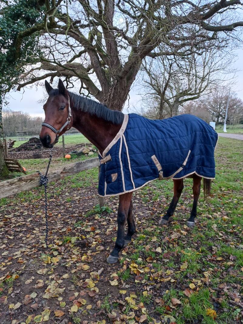  la ferme du petit âge - ferme d'animations - le Vigeant 86