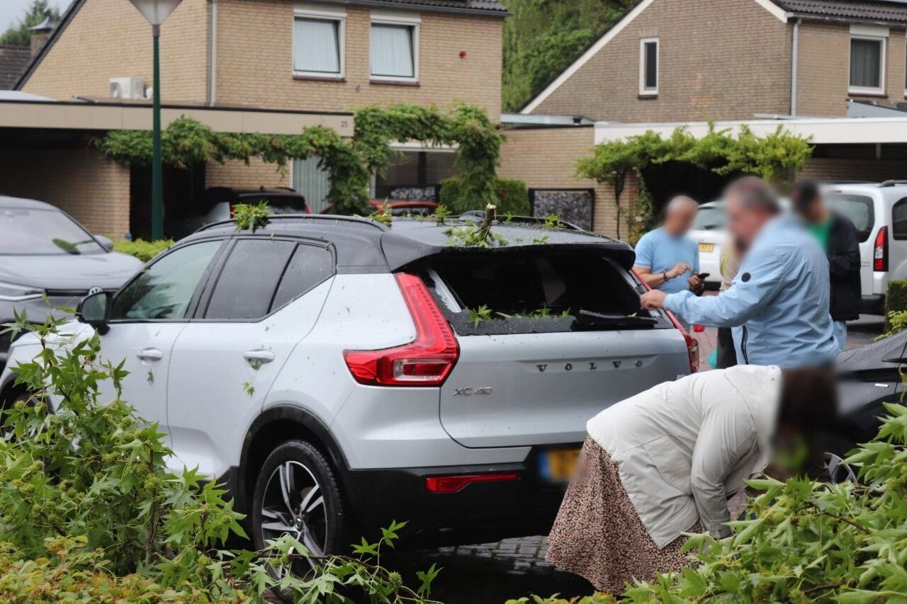 Raam auto aan diggelen door vallende grote tak in Oss