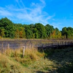1000024582-standard.jpg