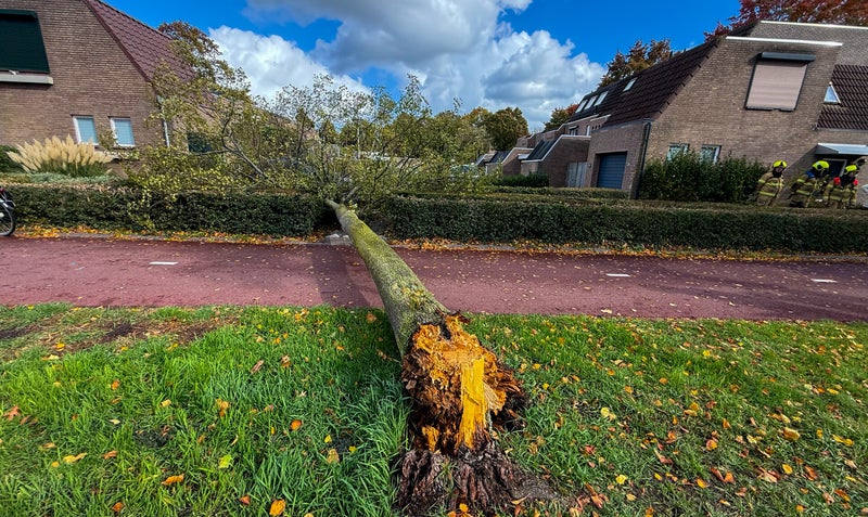 Boom valt op fietspad Veghel