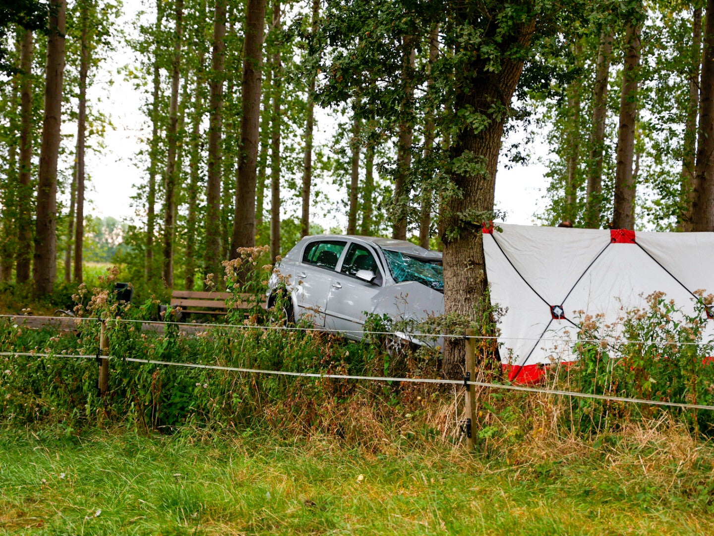 dodelijk ongeval liempde