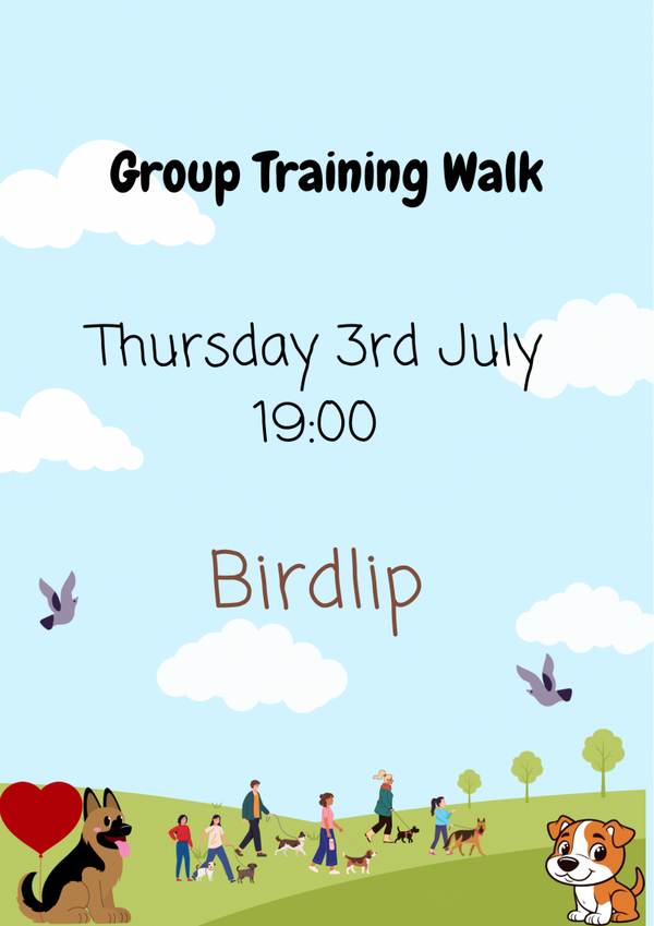 Group Training Walk 03/07/25