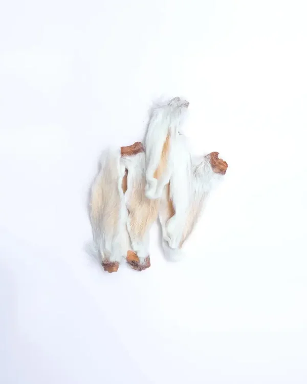 Rabbit Ears
