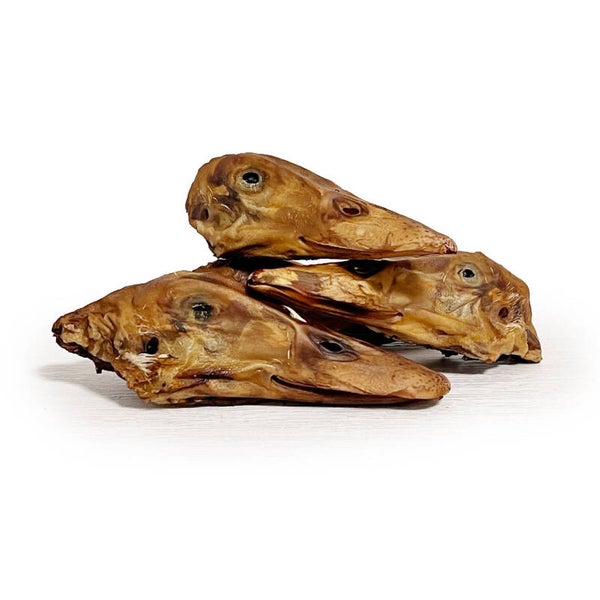 Duck Heads