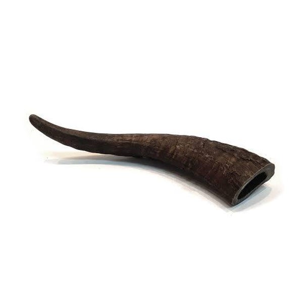 Medium Goat Horn