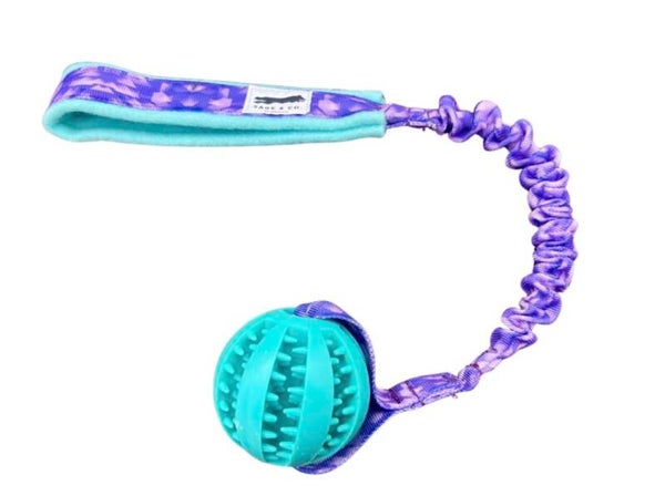 Treat Ball Bungee