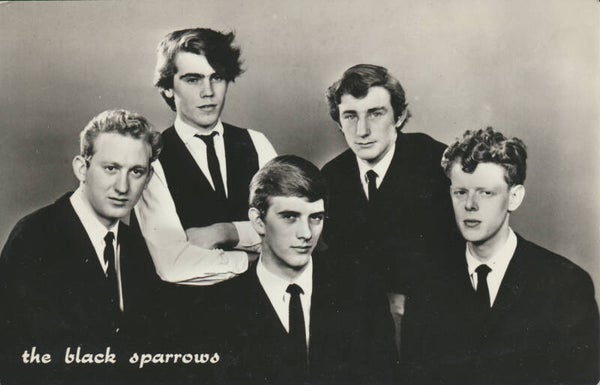 The Black Sparrows - 1960s [Holland] - Publicity Postcard