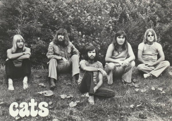 The Cats - 1970s [Holland] - Publicity Photocard