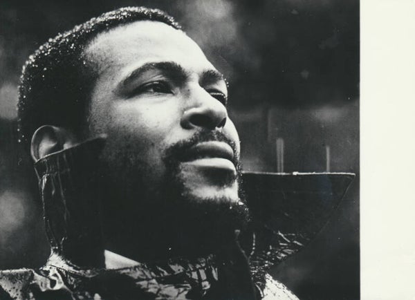 Marvin Gaye - August 26, 1976 [Holland] - Publicity Photo