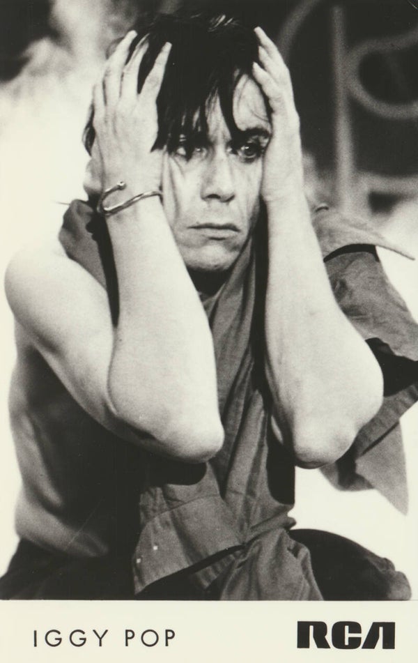 Iggy Pop - 1970s [Holland] - Publicity Photocard