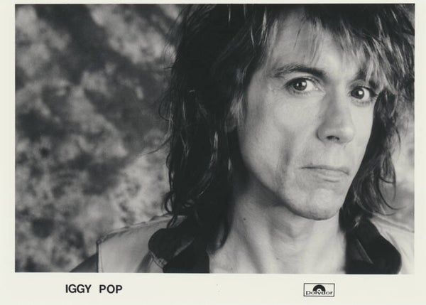 Iggy Pop - 1980s [Holland] - Publicity Photo