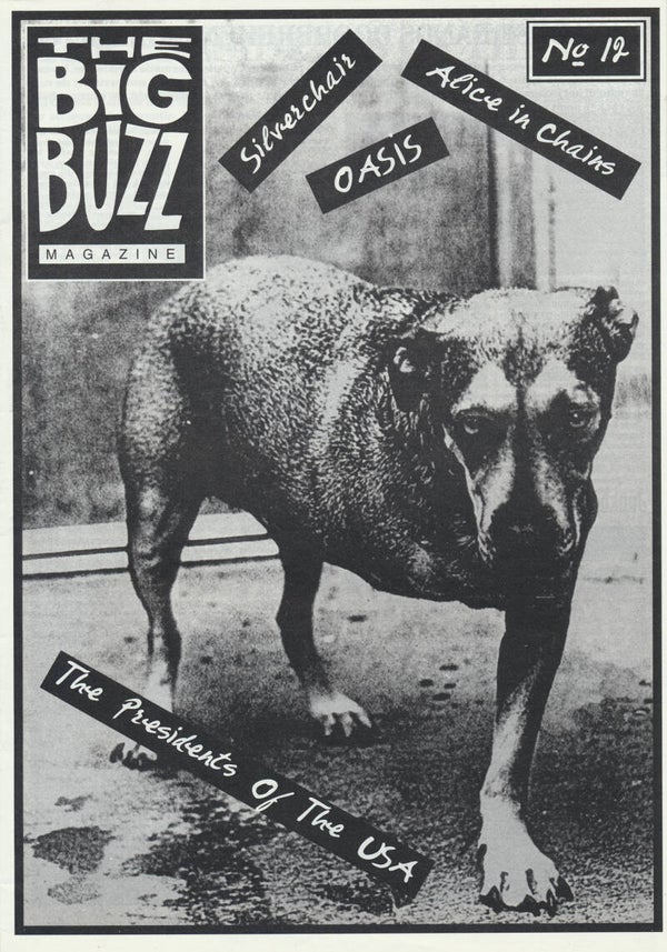 The Big Buzz - Issue 12 - 1995 [Holland] - Magazine