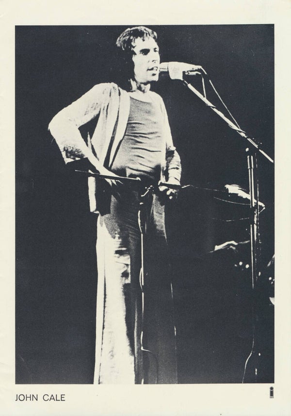 John Cale - 1970s [Holland] - Press Photo Print