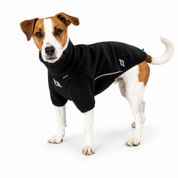 Hundepullover Back on Track