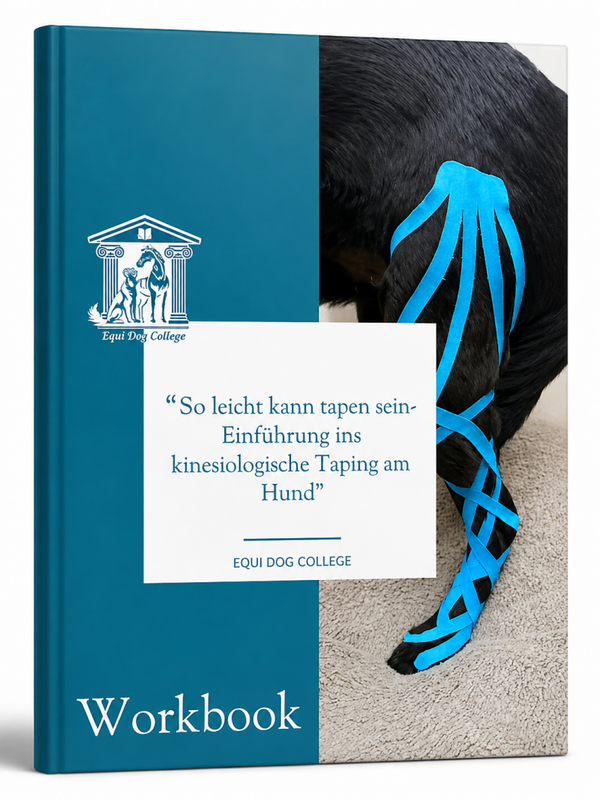 Einführung in kinesiologisches Tаping - Hund