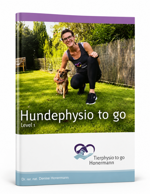 Hundephysio to go