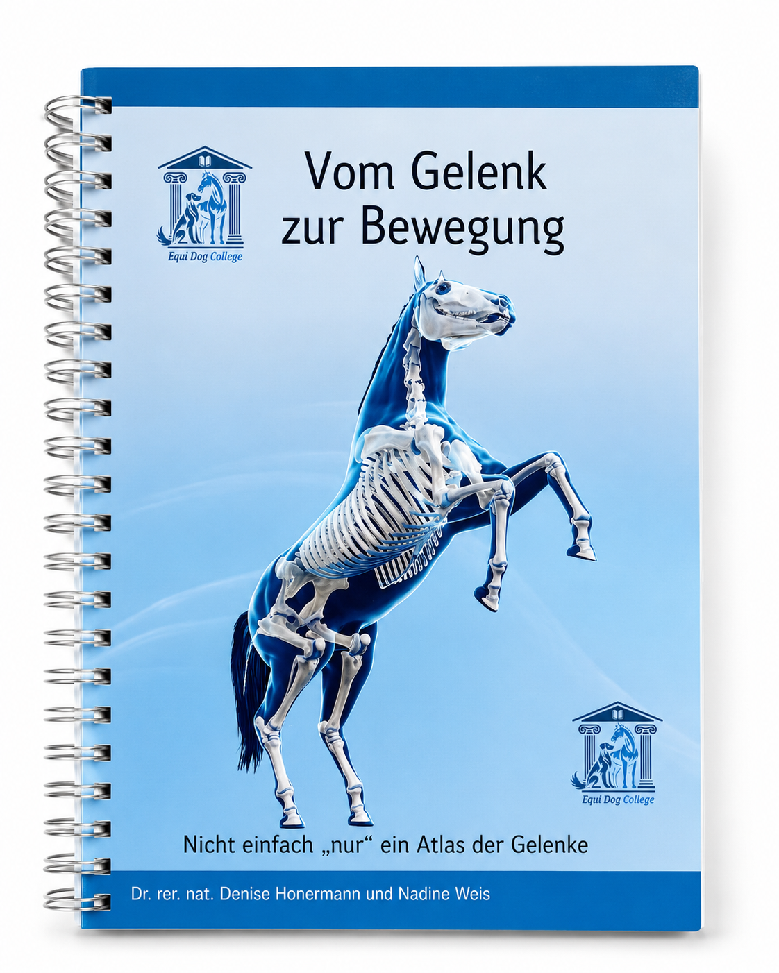 Anatomischer Gelenkatlas für Pferde 2. Auflage