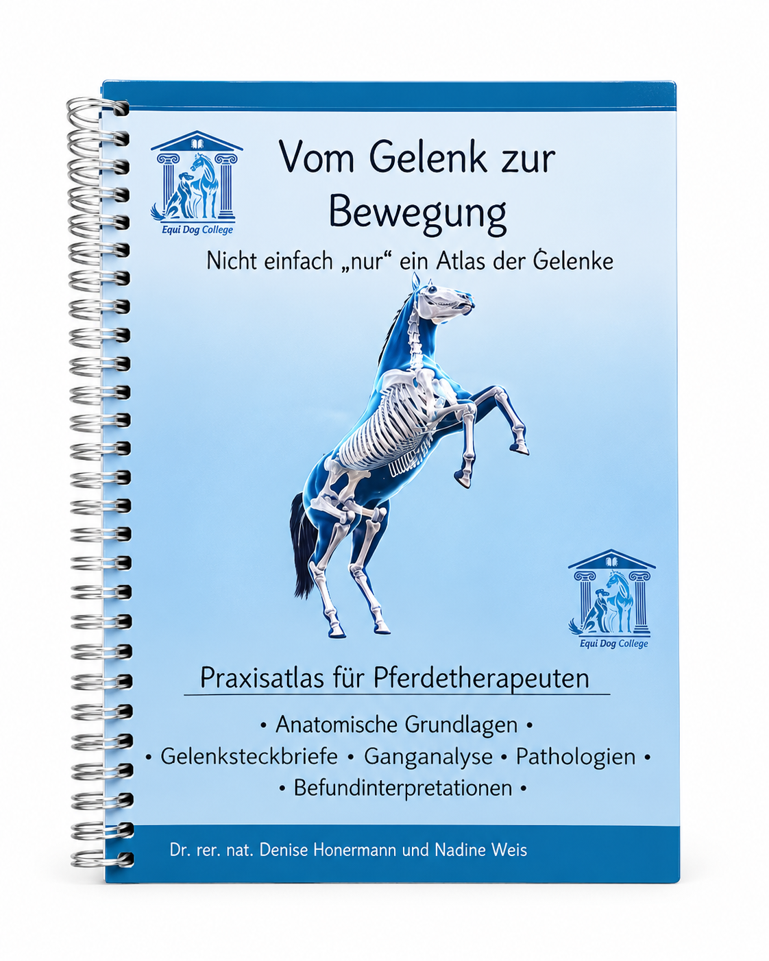 Anatomischer Gelenkatlas für Pferde 2. Auflage
