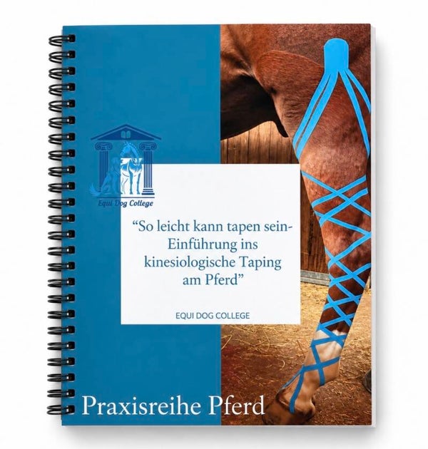 Kinesiologisches Taping beim Pferd - Praxisbuch mit Anleitungsvideos