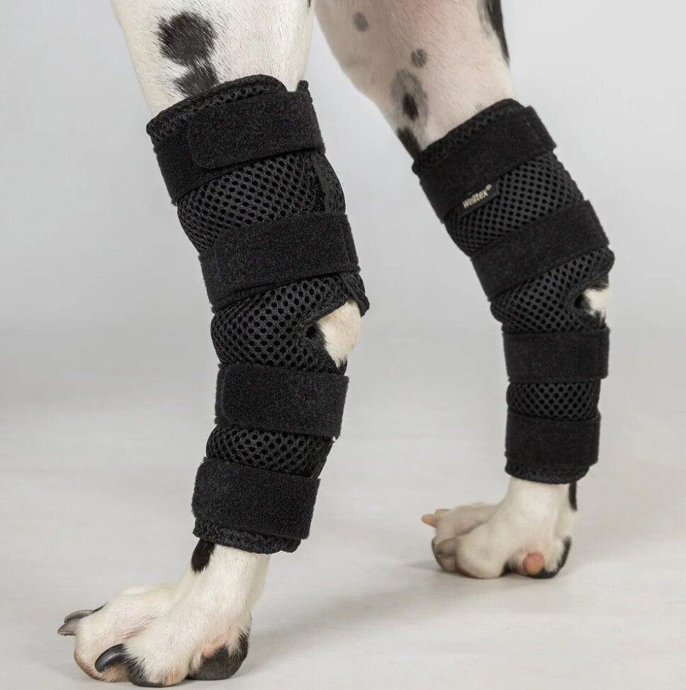 Dixie Hundesprunggelenkschoner Back on Track