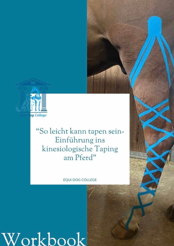 So leicht kann tapen sein - Einführung in kinesiologisches Tаping am Pferd oder Hund