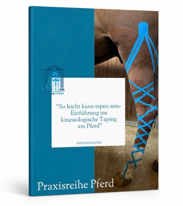 Einführung in kinesiologisches Taping - Pferd