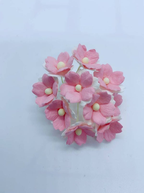 Sweetheart wit+lichtroze (SH-02)