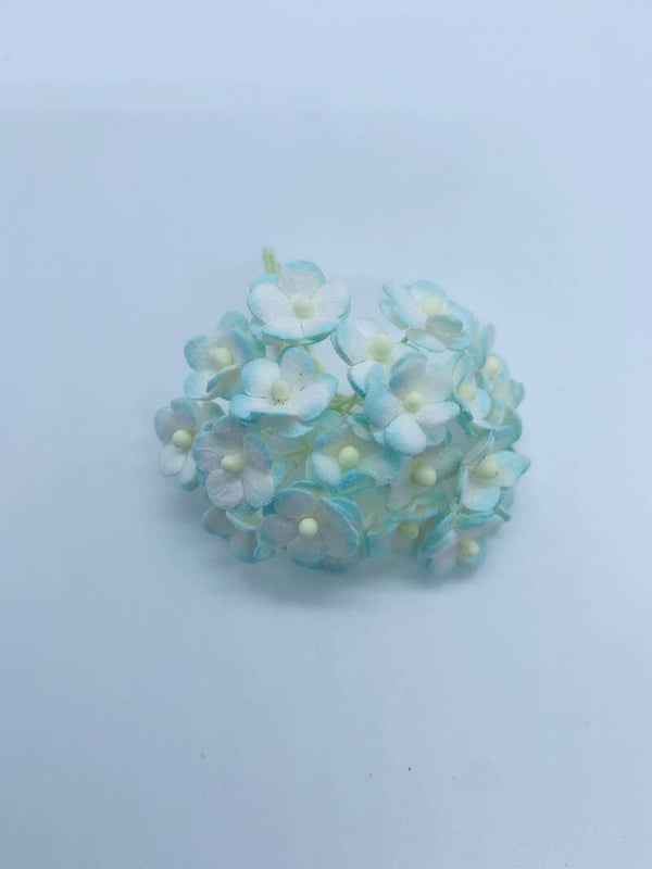 Sweetheart wit+lichtblauw (SHm-01)