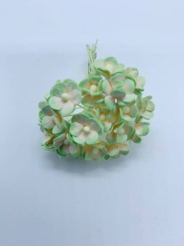 Sweetheart ivoor+groen (SHm-03)