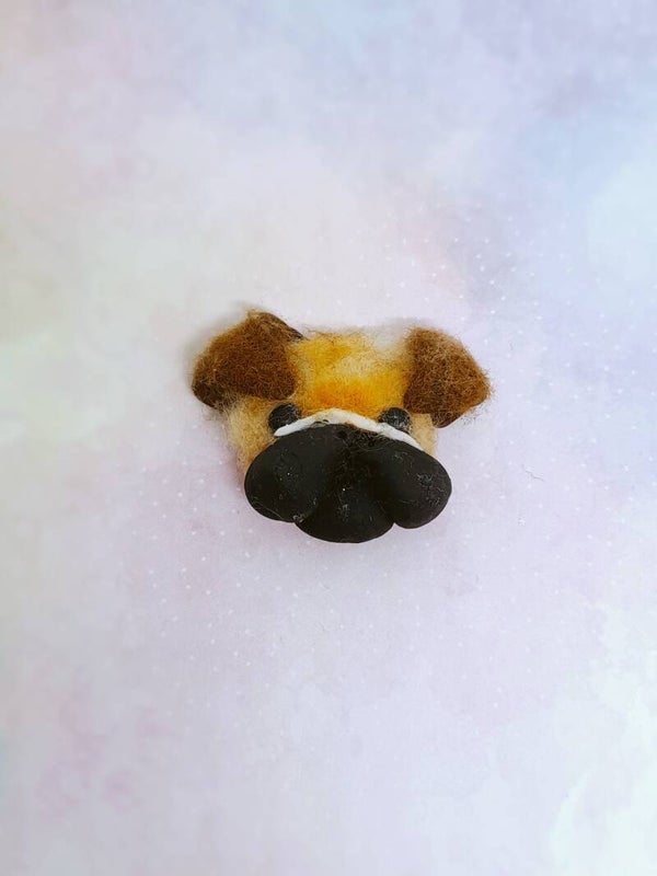 Fluffy dog 05