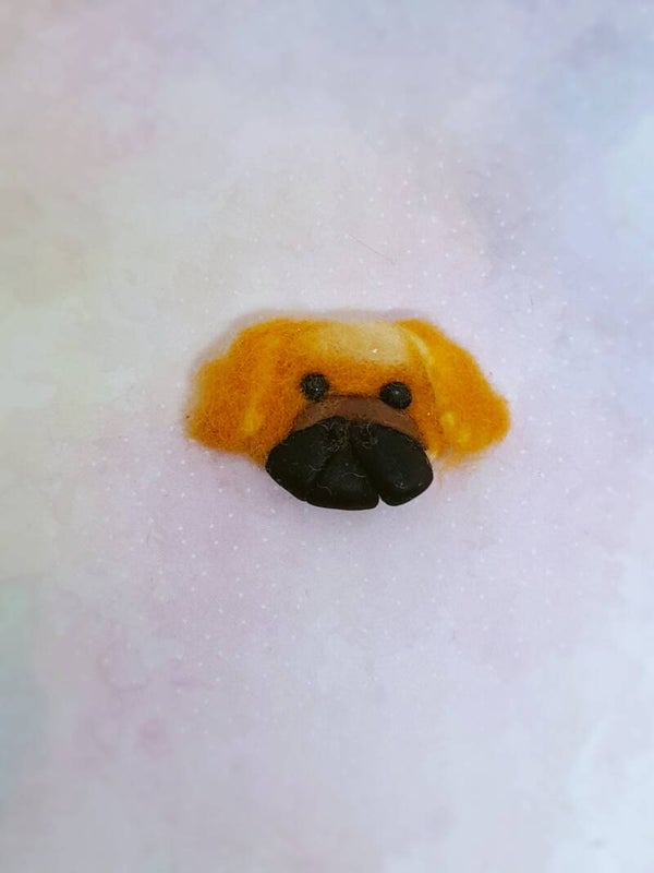 Fluffy dog 07