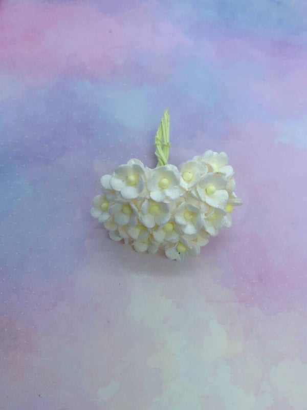 Sweetheart wit (Shm-01)