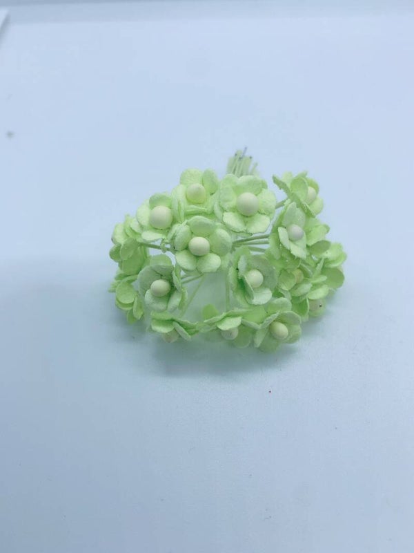 Sweetheart lichtgroen (SHm-01)
