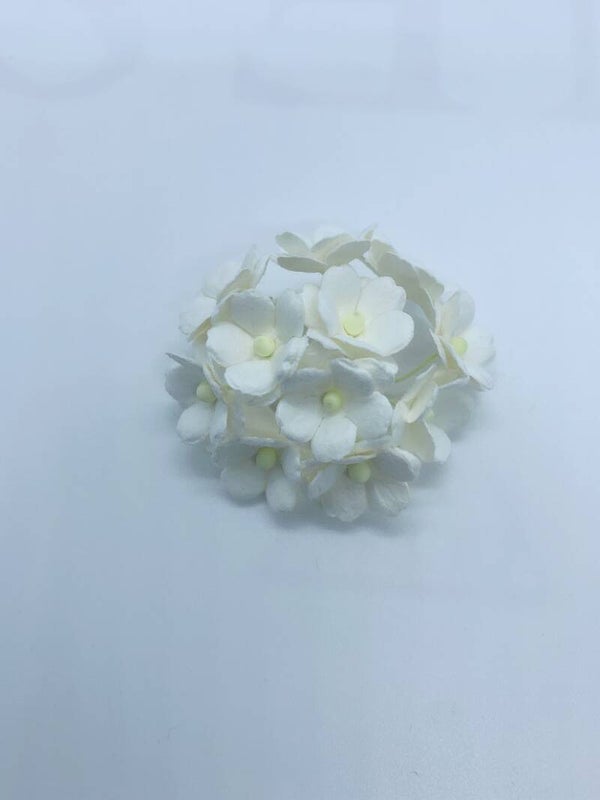 Sweetheart wit (SH-06)