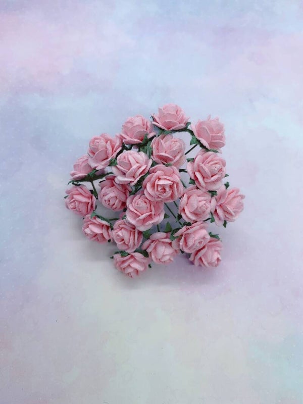 Rozen lichtroze (M-24)