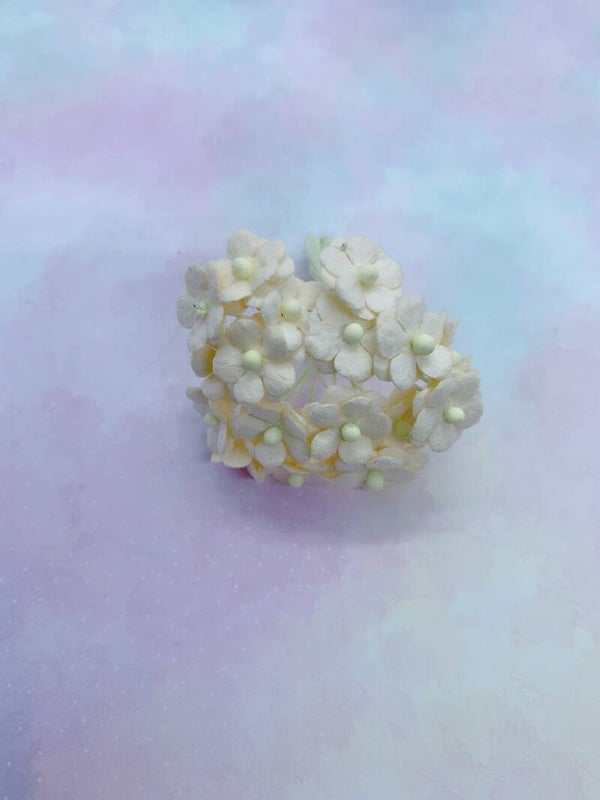 Sweetheart beige (Shm-12)