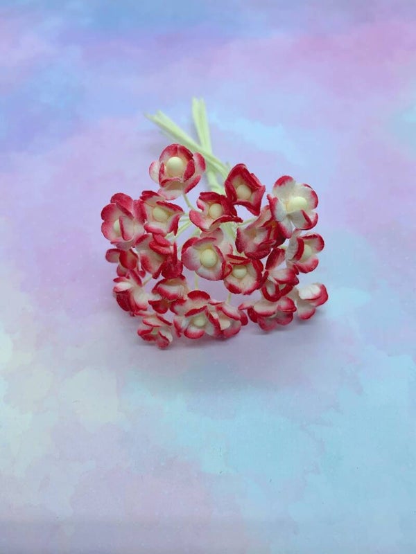 Sweetheart wit+rood (SHm-13)