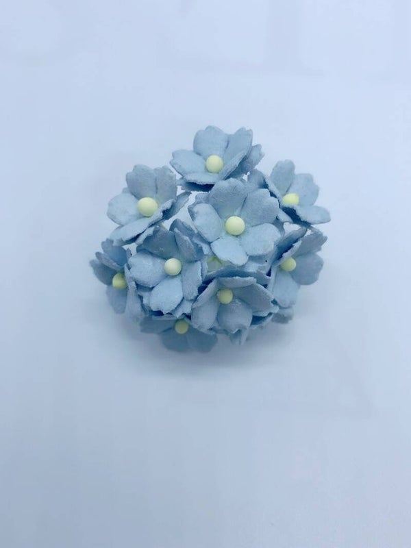 Sweetheart bluebell (SH-08)
