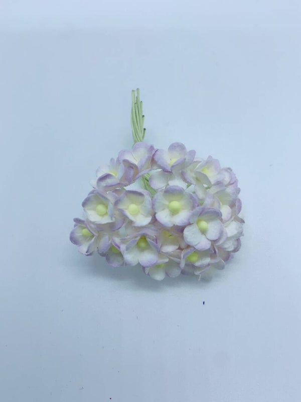 Sweetheart wit+lichtpaars (SHm-02)