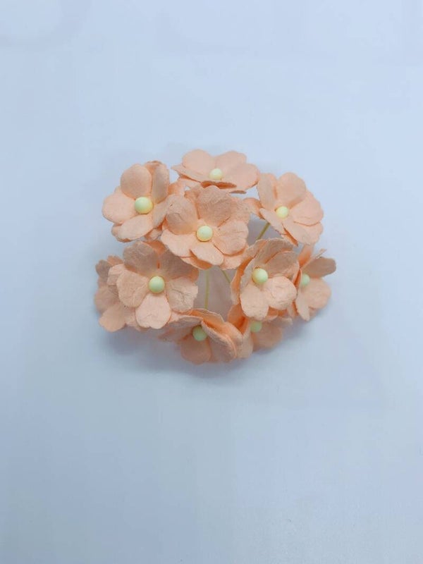 Sweetheart oranje (SH-10)