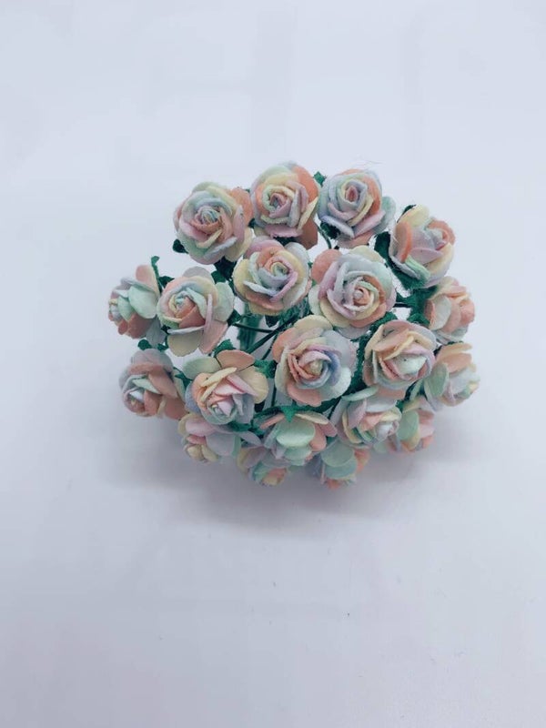 Rozen regenboog (M-13)