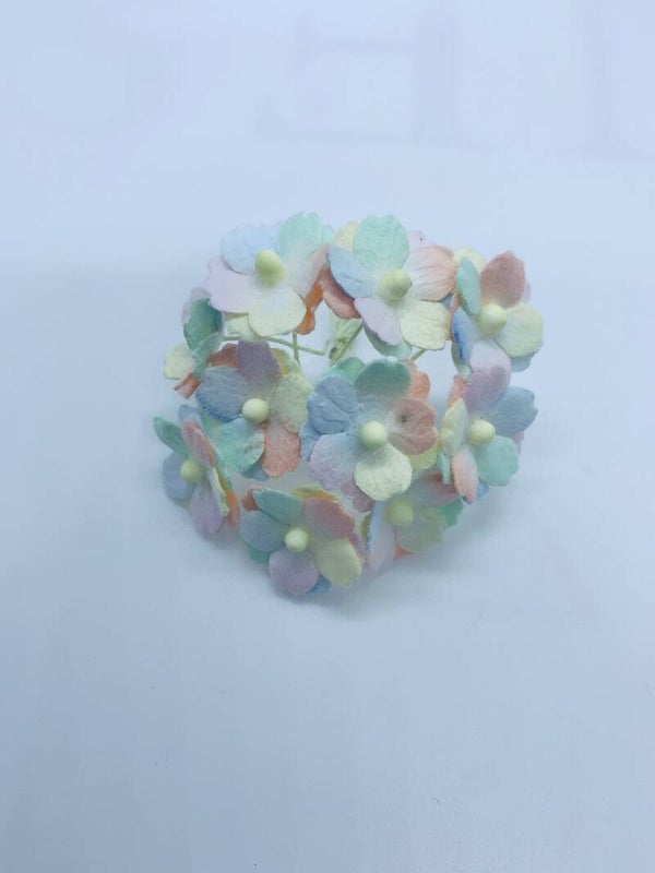 Sweetheart regenboog (SH-17)