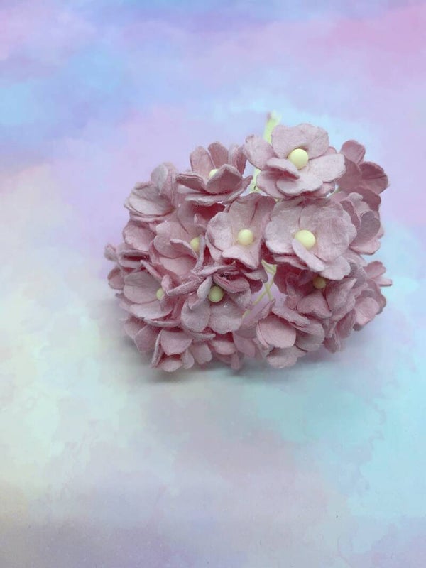 Sweetheart dusty pink (SH-24)