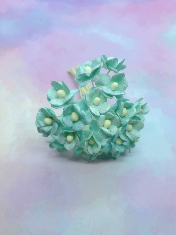 Sweetheart mintgroen (SHmed-28)