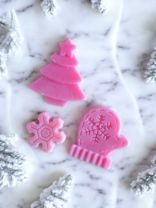 Fondant Bûche Framboise Passion