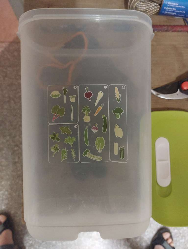 3,2 Liter Tupperware Dose