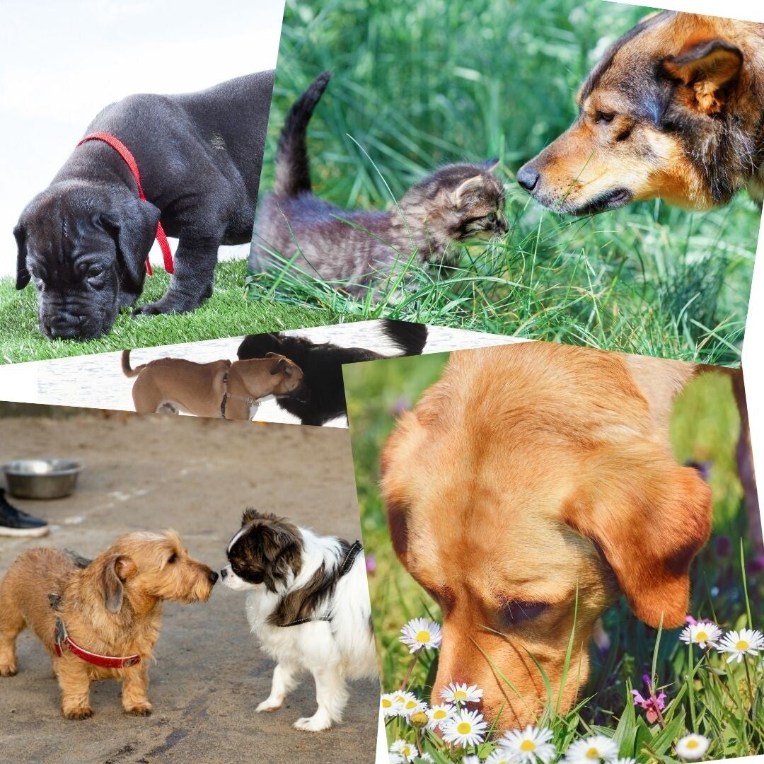 Familiarisation avec l'environnement